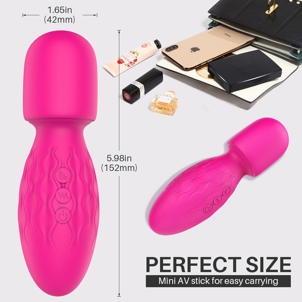S229 red-Wand Vibrator (1).jpg