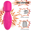Wand Vibrator