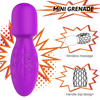Wand Vibrator