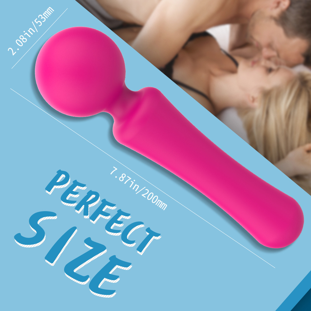 D2815 Wand vibrator (10).jpg