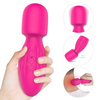 Wand Vibrator