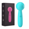 Mini Wand Vibrator